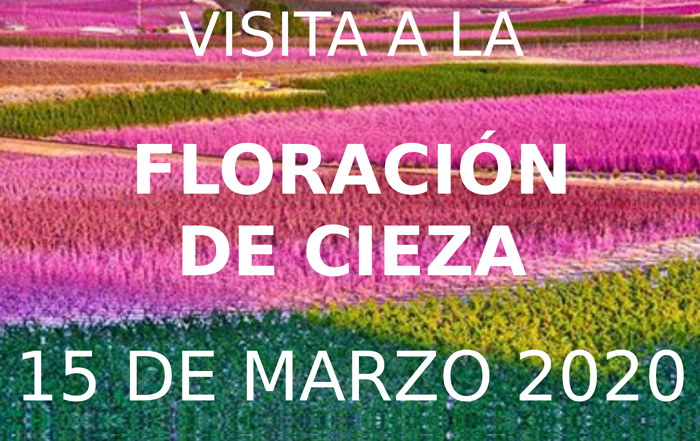 viaje a la floración de cieza